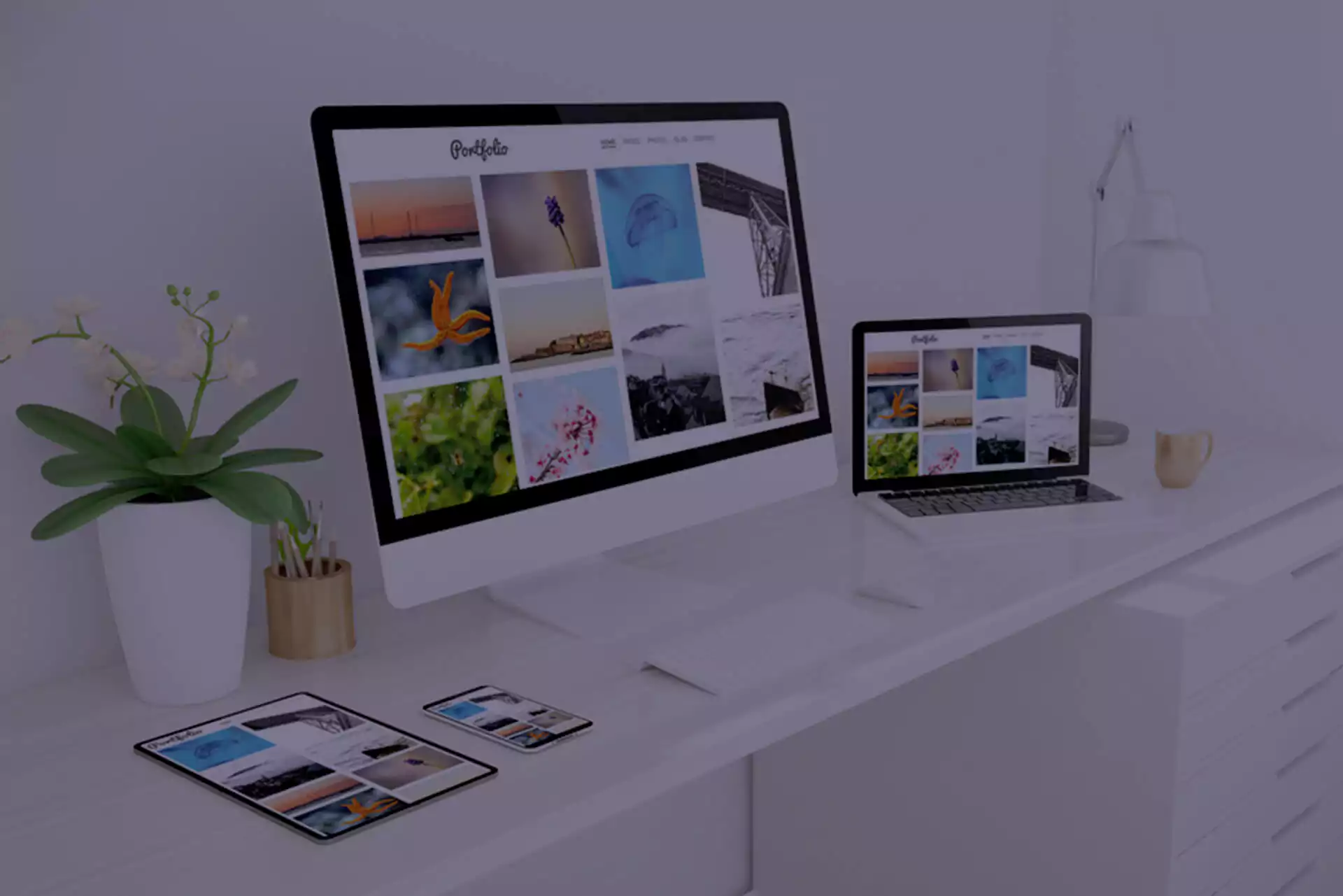 Website Development Company